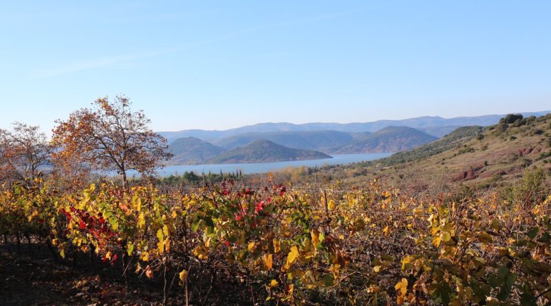 Un paysage du département de l'Hérault