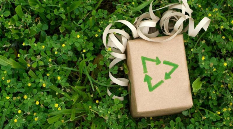 cadeau noel ecolo